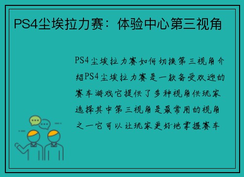 PS4尘埃拉力赛：体验中心第三视角
