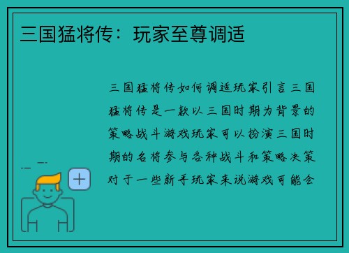三国猛将传：玩家至尊调适